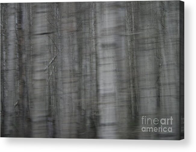 Abstract Acrylic Print featuring the photograph Ditto by Crystal Nederman