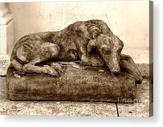 Dog Acrylic Print featuring the photograph Dog Sculpture by John Harmon