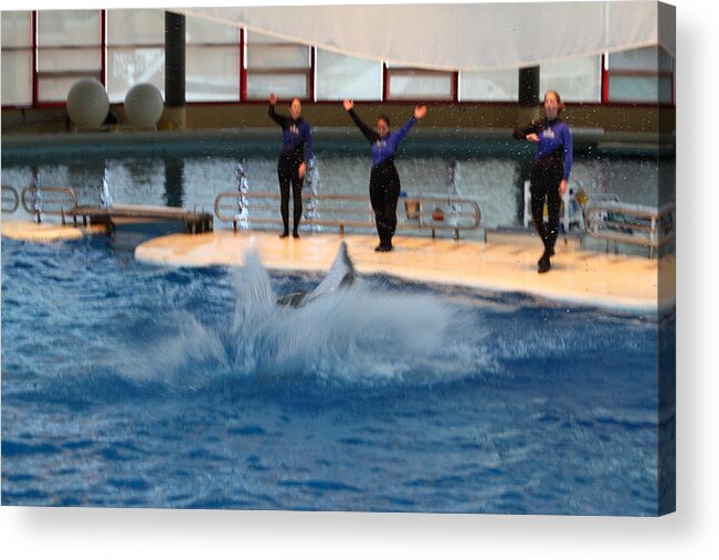 Inner Acrylic Print featuring the photograph Dolphin Show - National Aquarium in Baltimore MD - 1212278 by DC Photographer