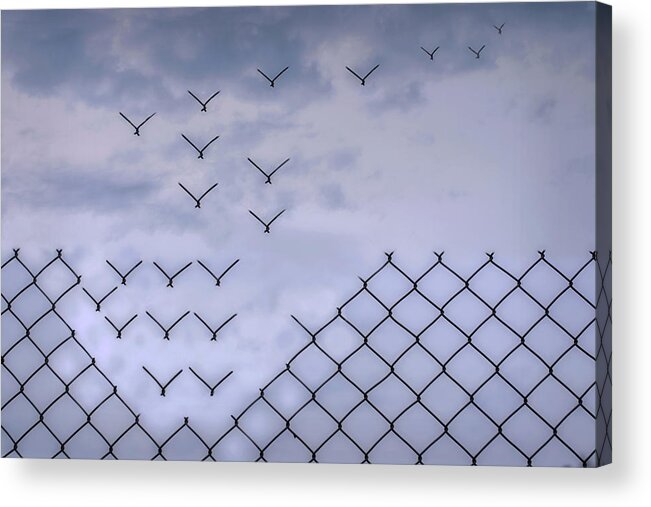 Fence Acrylic Print featuring the photograph Dona??t Fence Me In! by Bjorn Emanuelson