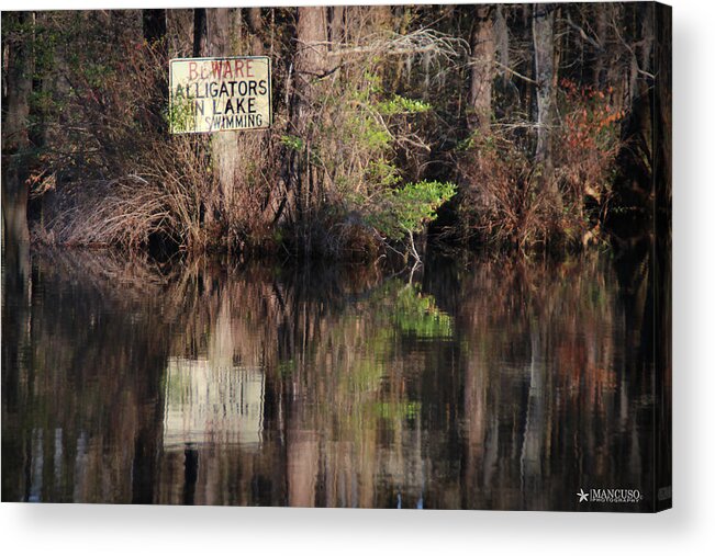 Greenfield Lake M Scene Acrylic Print featuring the digital art Don't Feed The Alligators by Phil Mancuso