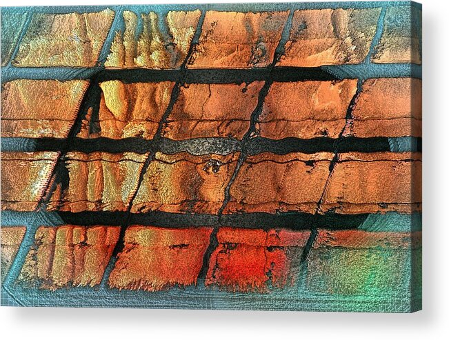 Abstract Acrylic Print featuring the photograph Don't Let the Humans Out by Abbie Loyd Kern