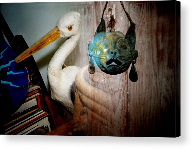 Film Acrylic Print featuring the photograph Doubles Bird Cat Mask by Monte Landis
