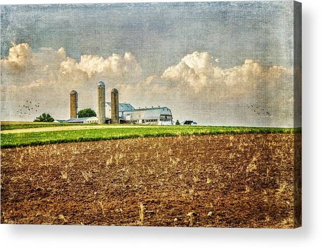 Farm Acrylic Print featuring the photograph Down On The Farm by Cathy Kovarik