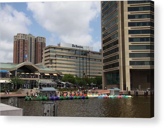 Boats Acrylic Print featuring the photograph Dragonboats - Inner Harbor Baltimore by Christiane Schulze Art And Photography