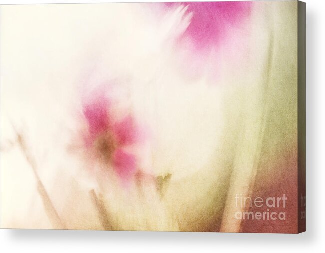 Flower Acrylic Print featuring the photograph Dream Flower Abstract 1 of 2 by Natalie Kinnear
