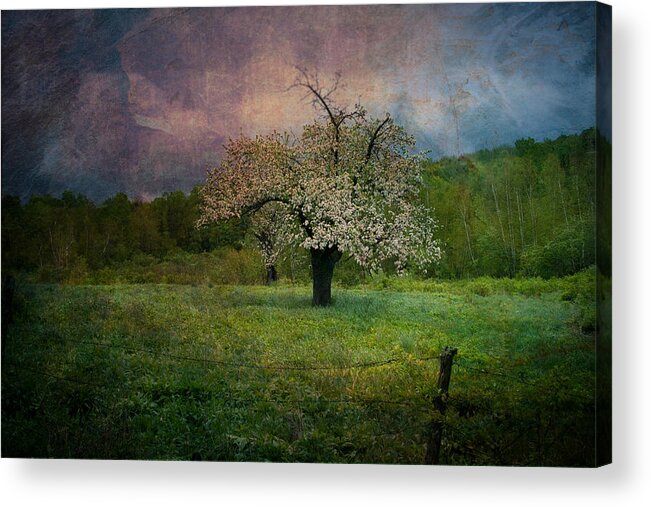 Image By Jeff Folger Acrylic Print featuring the photograph Dream of Spring by Jeff Folger