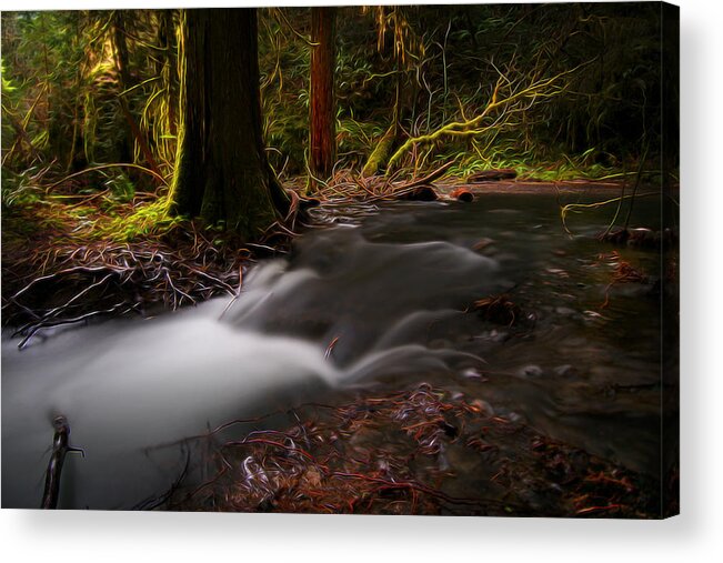 Nature Acrylic Print featuring the digital art Dreaming Forest by William Horden