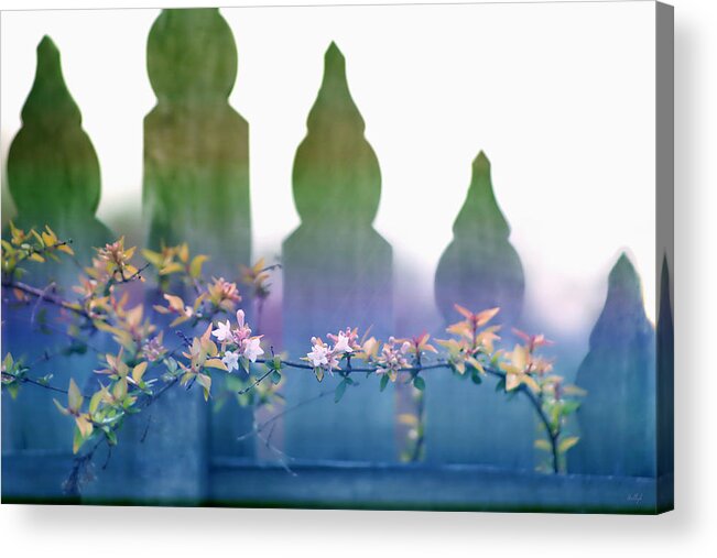 Floral Acrylic Print featuring the photograph Dreams of a Picket Fence by Holly Kempe