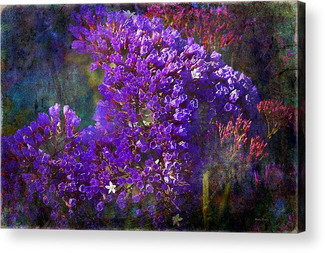 Floral Acrylic Print featuring the photograph Dreamy Purple Floral Abstract by Phyllis Denton