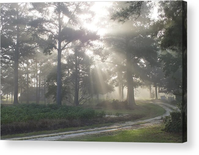 Driveway To Paradise Acrylic Print featuring the photograph Driveway to Paradise by Mike McGlothlen