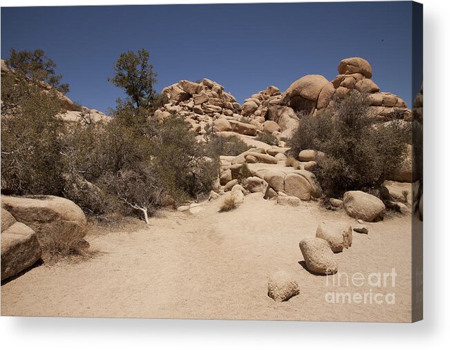 joshua Tree joshua Tree National Park Acrylic Print featuring the photograph Dry Air by Amanda Barcon