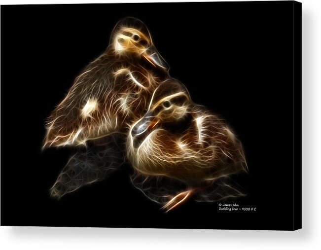 Duck Acrylic Print featuring the digital art Duckling Duo - 9530 F C by James Ahn