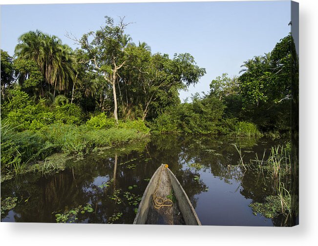 Feb0514 Acrylic Print featuring the photograph Dugout Canoe On Lekoli River Drc by Pete Oxford