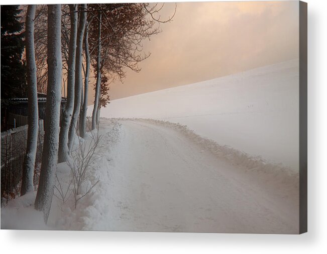 Dusk Acrylic Print featuring the photograph Dusk at the Edge of the Forest by Dorit Fuhg