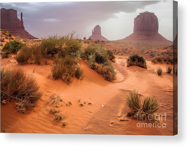 Utah Acrylic Print featuring the photograph Dusty Trails by Jim Garrison