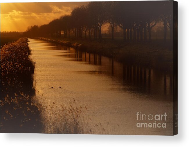 Dutch Acrylic Print featuring the photograph Dutch landscape by Nick Biemans