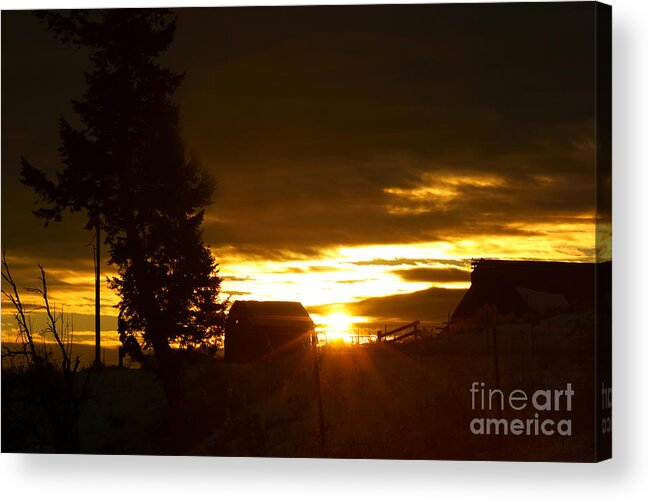 Sunrise Acrylic Print featuring the photograph Early Morning by Loni Collins