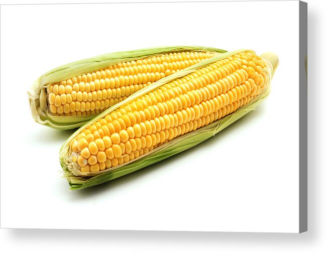 White Background Acrylic Print featuring the photograph Ears of maize by Fabrizio Troiani