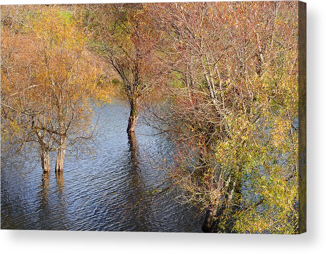 Eel Acrylic Print featuring the photograph Eel River Deux by Jon Exley