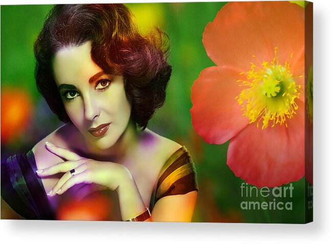 Elizabeth Taylor Paintings Acrylic Print featuring the mixed media Elizabeth Taylor by Marvin Blaine