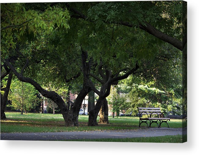 Canon Rebel Acrylic Print featuring the photograph Empty Park Bench by Samko Sam