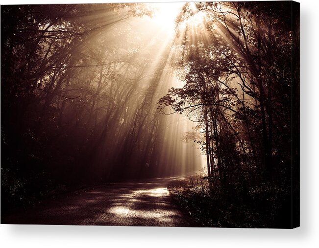Trees Acrylic Print featuring the photograph Enchanted Light by Todd Klassy