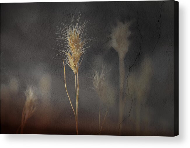 Grass Acrylic Print featuring the photograph Escape Into The Background by Mark Ross