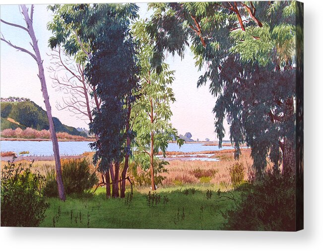 Batiquitos Acrylic Print featuring the painting Eucalyptus Trees at Batiquitos Lagoon by Mary Helmreich