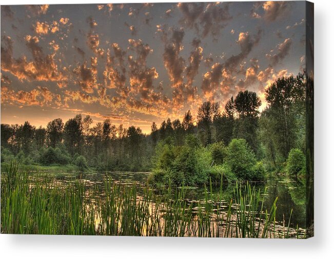Pondsunsetlandscapescenic Acrylic Print featuring the photograph Evening Pond by Jeff Cook
