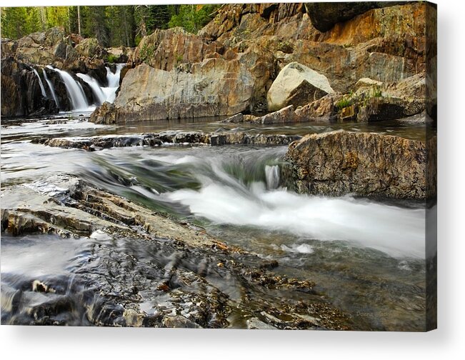 Nature Acrylic Print featuring the photograph Everything Flows by Donna Blackhall