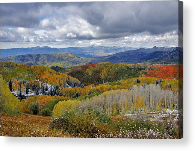 Steamboat Springs Acrylic Print featuring the photograph Evident Change by Matt Helm