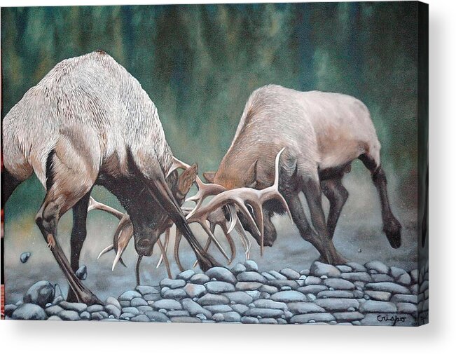 Elk Acrylic Print featuring the painting Face to Face by Jean Yves Crispo