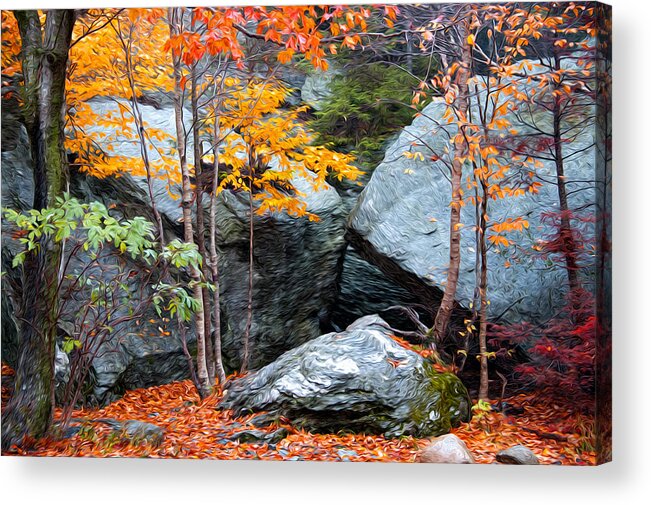 Fall Acrylic Print featuring the photograph Fall Among The Rocks by Bill Howard