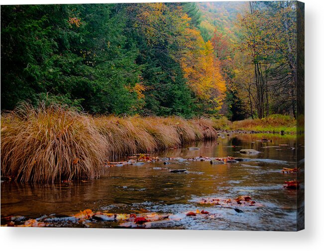  Acrylic Print featuring the photograph Fall Beauty by Scott Hafer