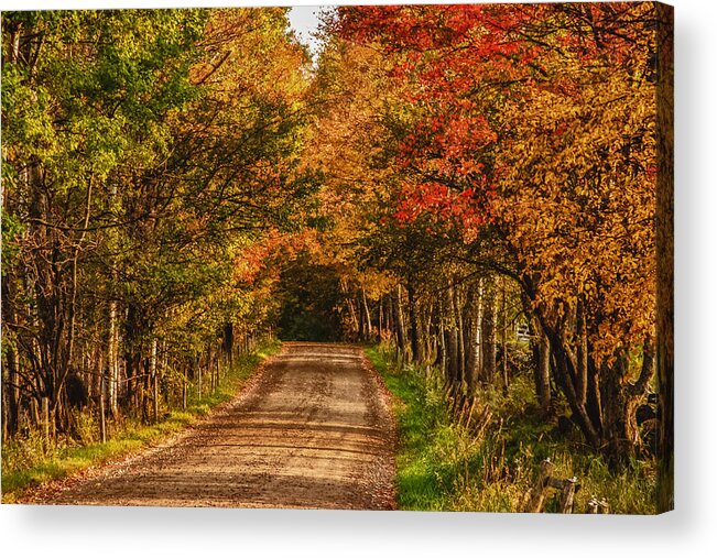 Peacham Vermont Acrylic Print featuring the photograph Fall color along a dirt backroad by Jeff Folger