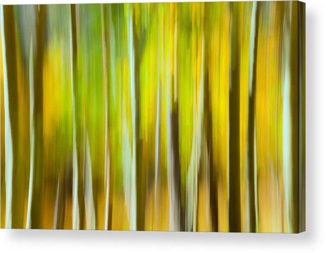 Fall Acrylic Print featuring the photograph Fall Colors Abstract by Jonathan Nguyen