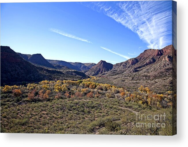 Verde River Acrylic Print featuring the photograph Fall Colors in the Verde Canyon along the Verde River in Arizona by Ron Chilston