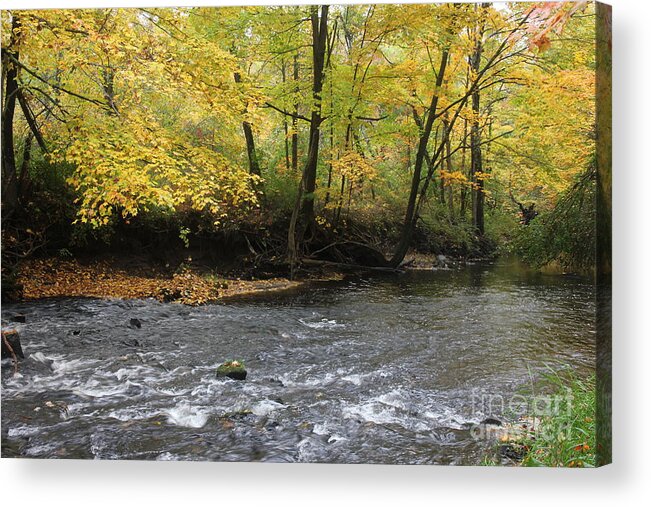 Fall Flow Acrylic Print featuring the photograph Fall flow by Jim Gillen