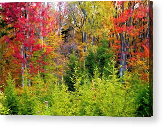 Fall Acrylic Print featuring the painting Fall forest foliage by Jeelan Clark