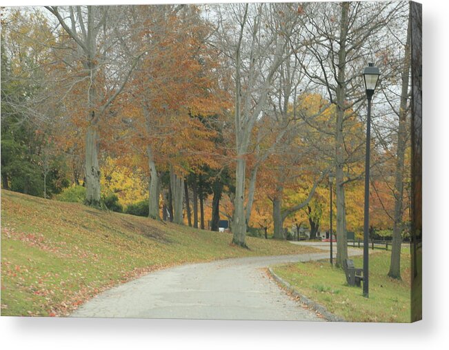 Fall Acrylic Print featuring the photograph Autumn Day in NE Ohio by Valerie Collins