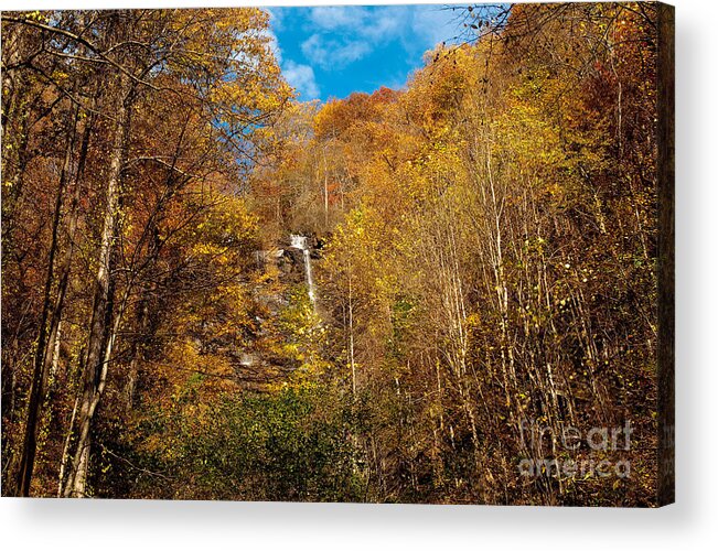 Fall Acrylic Print featuring the photograph Fall in the Smokies by Shijun Munns