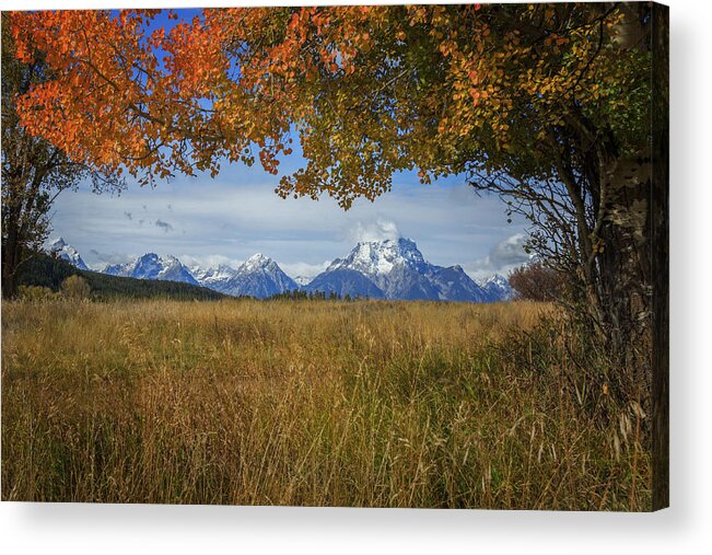 Fall Acrylic Print featuring the photograph Fall in the Tetons by Jared Perry 