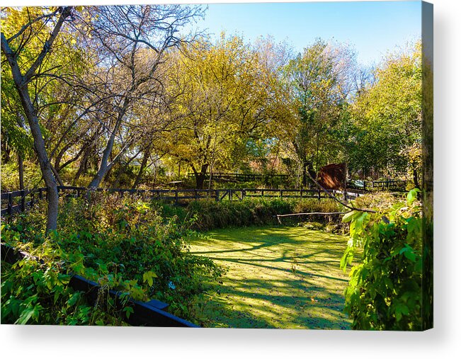 Fall Acrylic Print featuring the photograph Fall Morning by Ed Peterson