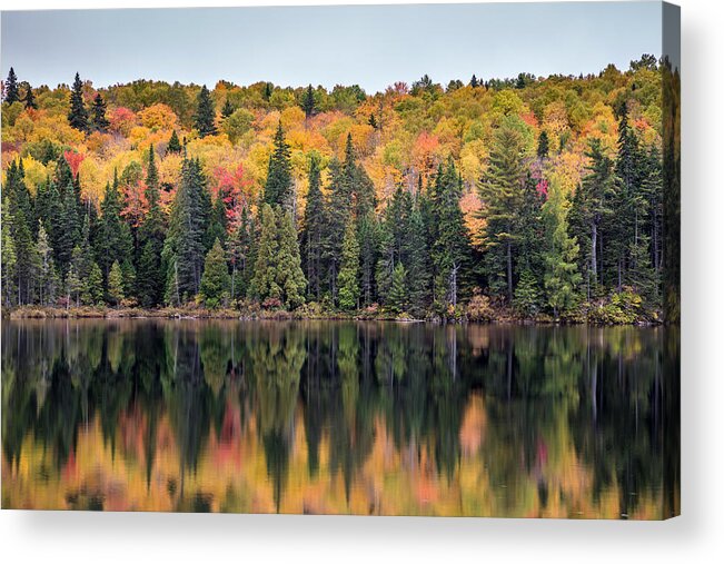 Fall Reflections Acrylic Print featuring the photograph Fall Reflection in Quebec by Pierre Leclerc Photography