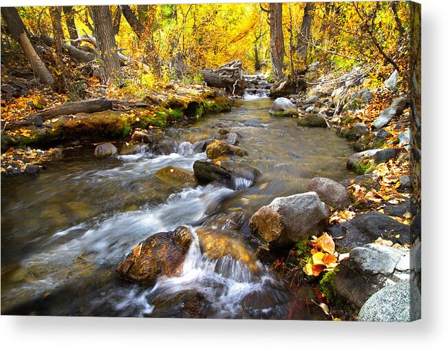 Fall Acrylic Print featuring the photograph Fall Rush at McGee Creek by Lynn Bauer