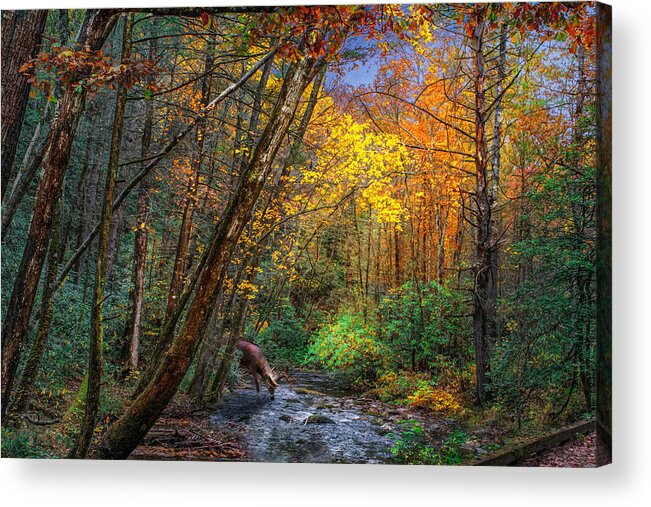 Solitude Acrylic Print featuring the photograph Fall Solitude by Mary Almond
