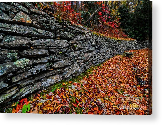 Fall Acrylic Print featuring the photograph Fall Wall by Randy Rogers
