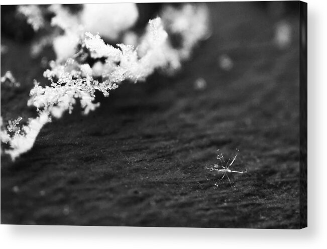 Ice Acrylic Print featuring the photograph Fallen Star by Rona Black