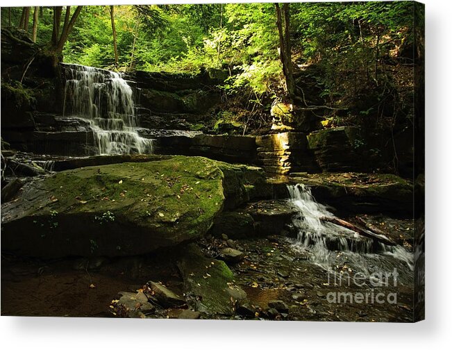Waterfall Acrylic Print featuring the photograph Fallsbrook Falls by Debra Fedchin